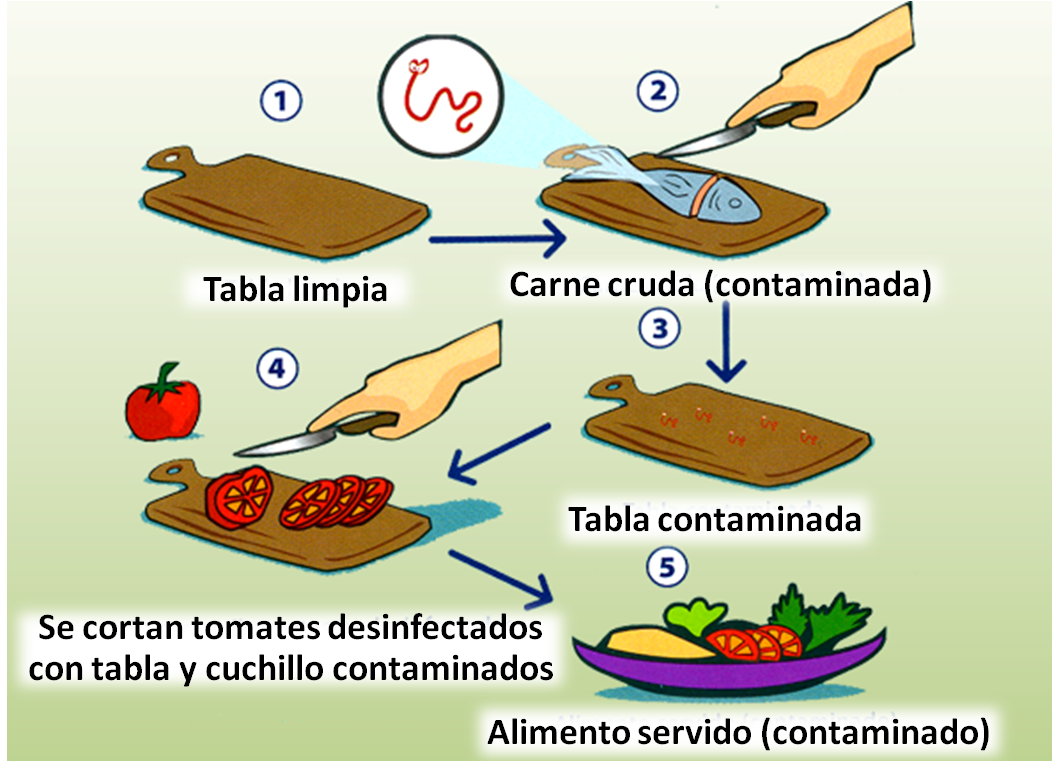 Intoxicación en la cocina: cómo usar la tabla de cortar para evitar la  contaminación cruzada, Salud, BuenaVida